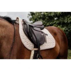 Kentucky Horsewear Kentucky Schabracke Wolle Springen Grau 25 Kentucky Horsewear Kentucky Schabracke Wolle Springen Grau -Geschäft für Reitsportbedarf kentucky 42583 32 sj foto4.5f1366
