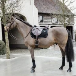 Kentucky Horsewear Kentucky Schabracke Basic Fluwelen Springen Schwarz Warmblut -Geschäft für Reitsportbedarf kentucky 42589 01 sj 4.d34c70
