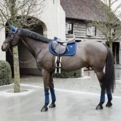 Kentucky Horsewear Kentucky Schabracke Basic Fluwelen Springen Schwarz Warmblut -Geschäft für Reitsportbedarf kentucky 42589 03 sj 4.1fa5f6