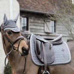 Kentucky Horsewear Kentucky Schabracke Basic Fluwelen Dressur Beige Warmblut 31 Kentucky Horsewear Kentucky Schabracke Basic Fluwelen Dressur Beige Warmblut -Geschäft für Reitsportbedarf kentucky 42589 08 dr 2.c8f04a