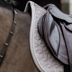 Kentucky Horsewear Kentucky Schabracke Basic Fluwelen Springen Schwarz Warmblut -Geschäft für Reitsportbedarf kentucky 42589 32 sj 3.f85f79