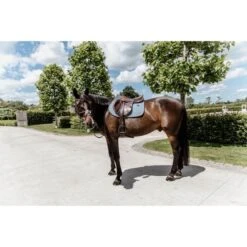 Kentucky Horsewear Kentucky Spring Satteldecke Classic Leder Dusty Green Warmblut -Geschäft für Reitsportbedarf kentucky 485a1304.dd5d88