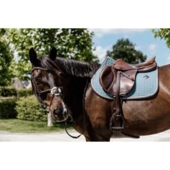 Kentucky Horsewear Kentucky Spring Satteldecke Classic Leder Dusty Green Warmblut -Geschäft für Reitsportbedarf kentucky 485a1305.d38aff