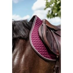 Kentucky Horsewear Kentucky Spring Satteldecke Classic Leder Dusty Green Warmblut -Geschäft für Reitsportbedarf kentucky 485a1374.06896c