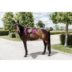 Kentucky Horsewear Kentucky Spring Satteldecke Classic Leder Dusty Green Warmblut -Geschäft für Reitsportbedarf kentucky 485a1383.dc8e0c