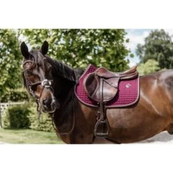 Kentucky Horsewear Kentucky Spring Satteldecke Classic Leder Dusty Green Warmblut -Geschäft für Reitsportbedarf kentucky 485a1384.986759