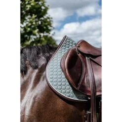 Kentucky Horsewear Kentucky Spring Satteldecke Classic Leder Dusty Green Warmblut -Geschäft für Reitsportbedarf kentucky 485a1422.36afb0