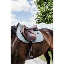 Kentucky Horsewear Kentucky Spring Satteldecke Classic Leder Dusty Green Warmblut -Geschäft für Reitsportbedarf kentucky 485a1426.96b6a1