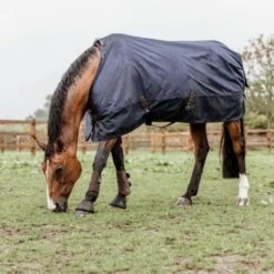 Kentucky Horsewear Kentucky Turnout Rug All Weather 300g Navy -Geschäft für Reitsportbedarf kentucky 485a4577.2c07c4