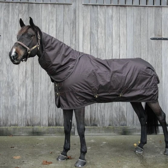 Kentucky Horsewear Kentucky Turnout All Weather 160g Braun 3 Kentucky Horsewear Kentucky Turnout All Weather 160g Braun