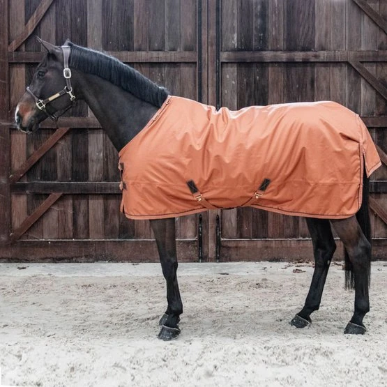 Kentucky Horsewear Kentucky Turnout All Weather 160g Braun 9 Kentucky Horsewear Kentucky Turnout All Weather 160g Braun – Bild 7