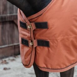 Kentucky Horsewear Kentucky Turnout All Weather 160g Braun 29 Kentucky Horsewear Kentucky Turnout All Weather 160g Braun -Geschäft für Reitsportbedarf kentucky 485a6555.96a3f2