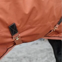 Kentucky Horsewear Kentucky Turnout All Weather 160g Braun 30 Kentucky Horsewear Kentucky Turnout All Weather 160g Braun -Geschäft für Reitsportbedarf kentucky 485a6563.be2dca