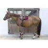 Kentucky Horsewear Kentucky Spring Satteldecke Classic Konstrast Bordeaux Warmblut -Geschäft für Reitsportbedarf kentucky 485a7494.bce7e5