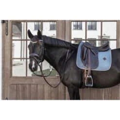 Kentucky Horsewear Kentucky Dressur Satteldecke Classic Leder Orange Warmblut 41 Kentucky Horsewear Kentucky Dressur Satteldecke Classic Leder Orange Warmblut -Geschäft für Reitsportbedarf kentucky 485a7781.fd42b6