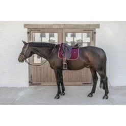 Kentucky Horsewear Kentucky Dressur Satteldecke Classic Leder Orange Warmblut 40 Kentucky Horsewear Kentucky Dressur Satteldecke Classic Leder Orange Warmblut -Geschäft für Reitsportbedarf kentucky 485a7892.07c783