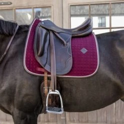 Kentucky Horsewear Kentucky Dressur Satteldecke Classic Leder Orange Warmblut 32 Kentucky Horsewear Kentucky Dressur Satteldecke Classic Leder Orange Warmblut -Geschäft für Reitsportbedarf kentucky 485a7919 e8502ded370e565d04389cf2c54c4715 article photobook crop.db4918