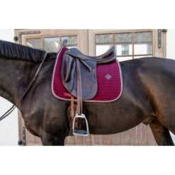 Kentucky Horsewear Kentucky Dressur Satteldecke Classic Leder Orange Warmblut 33 Kentucky Horsewear Kentucky Dressur Satteldecke Classic Leder Orange Warmblut -Geschäft für Reitsportbedarf kentucky 485a7919.703643