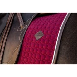 Kentucky Horsewear Kentucky Dressur Satteldecke Classic Leder Orange Warmblut 37 Kentucky Horsewear Kentucky Dressur Satteldecke Classic Leder Orange Warmblut -Geschäft für Reitsportbedarf kentucky 485a7926.8af21d