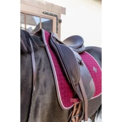 Kentucky Horsewear Kentucky Dressur Satteldecke Classic Leder Orange Warmblut 38 Kentucky Horsewear Kentucky Dressur Satteldecke Classic Leder Orange Warmblut -Geschäft für Reitsportbedarf kentucky 485a7928.8cb6a4