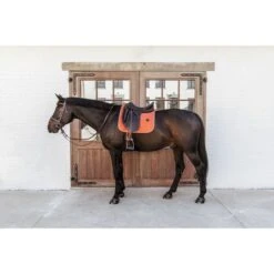 Kentucky Horsewear Kentucky Dressur Satteldecke Classic Leder Orange Warmblut 31 Kentucky Horsewear Kentucky Dressur Satteldecke Classic Leder Orange Warmblut -Geschäft für Reitsportbedarf kentucky 485a7940.0c2f24