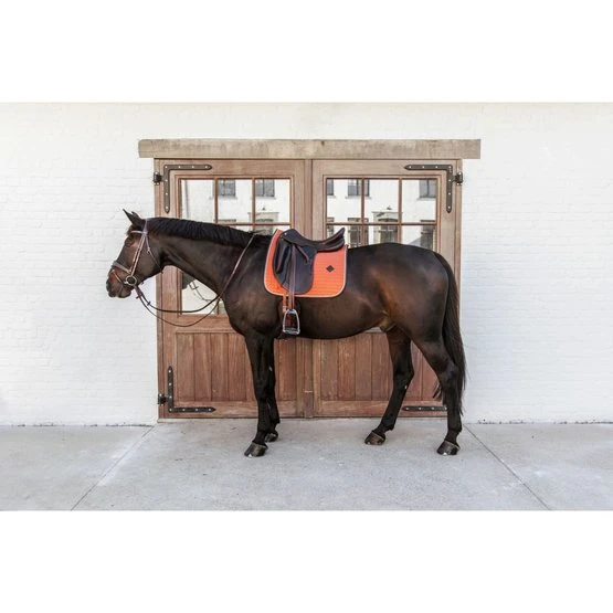 Kentucky Horsewear Kentucky Dressur Satteldecke Classic Leder Orange Warmblut 12 Kentucky Horsewear Kentucky Dressur Satteldecke Classic Leder Orange Warmblut – Bild 10
