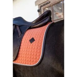 Kentucky Horsewear Kentucky Dressur Satteldecke Classic Leder Orange Warmblut 25 Kentucky Horsewear Kentucky Dressur Satteldecke Classic Leder Orange Warmblut -Geschäft für Reitsportbedarf kentucky 485a7967.533928