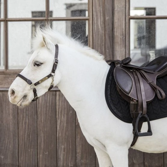 Kentucky Horsewear Kentucky Schabracke Glitter Stone Springen Schwarz Pony 4 Kentucky Horsewear Kentucky Schabracke Glitter Stone Springen Schwarz Pony – Bild 2