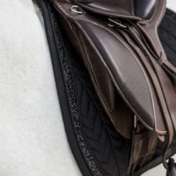 Kentucky Horsewear Kentucky Schabracke Glitter Stone Springen Schwarz Pony 16 Kentucky Horsewear Kentucky Schabracke Glitter Stone Springen Schwarz Pony -Geschäft für Reitsportbedarf kentucky 485a8034 e8502ded370e565d04389cf2c54c4715 article photobook crop.e0a3bf