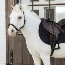 Kentucky Horsewear Kentucky Schabracke Glitter Stone Springen Schwarz Pony 19 Kentucky Horsewear Kentucky Schabracke Glitter Stone Springen Schwarz Pony -Geschäft für Reitsportbedarf kentucky 485a8044 e8502ded370e565d04389cf2c54c4715 article photobook crop.617bc7