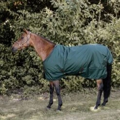 Kentucky Horsewear Kentucky Turnout All Weather 160g Braun 40 Kentucky Horsewear Kentucky Turnout All Weather 160g Braun -Geschäft für Reitsportbedarf kentucky 52121 73 1.e7942a