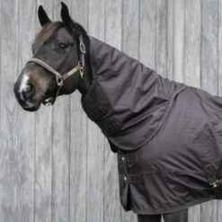 Kentucky Horsewear Kentucky Halsstück All Weather 150g Navy 34 Kentucky Horsewear Kentucky Halsstück All Weather 150g Navy -Geschäft für Reitsportbedarf kentucky 52201 05.5676ed