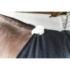 Kentucky Horsewear Kentucky Stalldecke Classic 200g Schwarz -Geschäft für Reitsportbedarf kentucky 64d1d73b8d8f4 f9c964e5c73ae5791aa9b266f3207e6e89b8925b 179a2586.4995d9