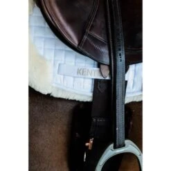 Kentucky Horsewear Kentucky Springdecke Hunter Wool Schwarz Warmblut 23 Kentucky Horsewear Kentucky Springdecke Hunter Wool Schwarz Warmblut -Geschäft für Reitsportbedarf kentucky 6538ac49c9e7f 02afeb8e184d429628e40cd60799034753c596ca 179a7844.b1de80