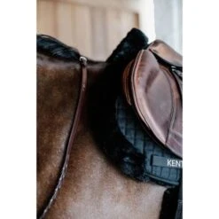 Kentucky Horsewear Kentucky Springdecke Hunter Wool Schwarz Warmblut 17 Kentucky Horsewear Kentucky Springdecke Hunter Wool Schwarz Warmblut -Geschäft für Reitsportbedarf kentucky 6538ac4a7033d 4b917a2f0c245251a64874c50317fb8cca9622b6 179a7788.51f66a