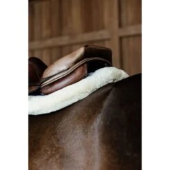 Kentucky Horsewear Kentucky Springdecke Hunter Wool Schwarz Warmblut 24 Kentucky Horsewear Kentucky Springdecke Hunter Wool Schwarz Warmblut -Geschäft für Reitsportbedarf kentucky 6538ac4a91cc9 991ba1b82dae37552f90654b3a3bf0059edb0838 179a7848.5ce869