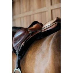 Kentucky Horsewear Kentucky Springdecke Hunter Wool Schwarz Warmblut 18 Kentucky Horsewear Kentucky Springdecke Hunter Wool Schwarz Warmblut -Geschäft für Reitsportbedarf kentucky 6538ac4b393ae e04464e2305284e70894a05c6111f0266fcdb6c4 179a7790.b81134