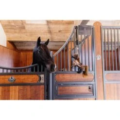 Kentucky Horsewear Kentucky Relax Horse Toy Tableux -Geschäft für Reitsportbedarf kentucky 657a21214e3c8 bb5a7f5b263f5dc495c6e766b8addf7395d3183d 82155 05 101.e596c8