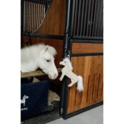 Kentucky Horsewear Kentucky Relax Horse Toy Sammy 11 Kentucky Horsewear Kentucky Relax Horse Toy Sammy -Geschäft für Reitsportbedarf kentucky 657a212415979 e1a4831fb98289bf2b91a286f1fd80d5fe14801a 82155 32 101.937b75