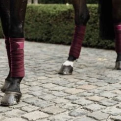 Kentucky Horsewear Bandagen Polar Fleece Grün Warmblut -Geschäft für Reitsportbedarf kentucky bandages polar fleece bordeaux.da8e70