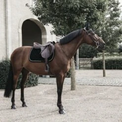 Kentucky Horsewear Kentucky Dressur Satteldecke Corduroy Bordeaux Warmblut -Geschäft für Reitsportbedarf kentucky dressuur zadeldekje corduroy zwart 3.e6c5b3