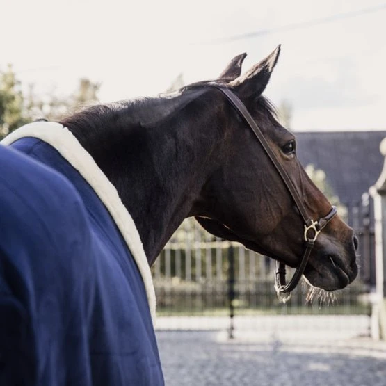 Kentucky Horsewear Kentucky Abschwitzdecke Show Fleece Heavy Navy 4 Kentucky Horsewear Kentucky Abschwitzdecke Show Fleece Heavy Navy – Bild 2