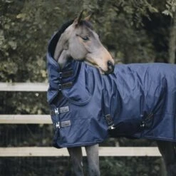 Kentucky Horsewear Kentucky Halsstück All Weather 150g Navy 23 Kentucky Horsewear Kentucky Halsstück All Weather 150g Navy -Geschäft für Reitsportbedarf kentucky halsstuk all weather 150gr navy 1.d22de4