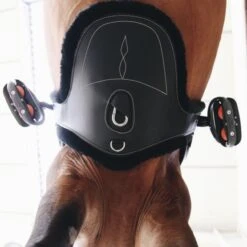 Kentucky Horsewear Kentucky Sattelgurtschoner Sheepskin Stud Naturell -Geschäft für Reitsportbedarf kentucky singelhoes sheepskin stud black 1.6b4ea9