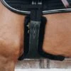 Kentucky Horsewear Kentucky Sattelgurtschoner Sheepskin Stud Schwarz -Geschäft für Reitsportbedarf kentucky singelhoes sheepskin stud black.0918b6 1