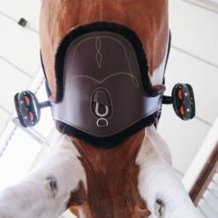 Kentucky Horsewear Kentucky Sattelgurtschoner Sheepskin Stud Naturell -Geschäft für Reitsportbedarf kentucky singelhoes sheepskin stud bruin.02b4d1