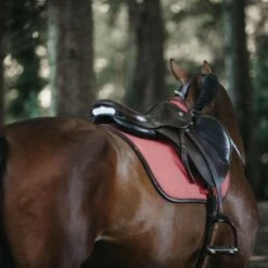 Kentucky Horsewear Kentucky Springsatteldecke Color Edition Leder Mint Warmblut -Geschäft für Reitsportbedarf kentucky spring zadeldekje color ed leather koraal 1.20c510