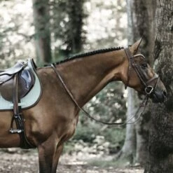 Kentucky Horsewear Kentucky Springsatteldecke Color Edition Leder Mint Warmblut -Geschäft für Reitsportbedarf kentucky spring zadeldekje color ed leather mint 3.ef55d0
