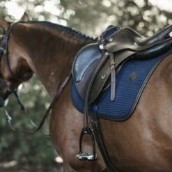 Kentucky Horsewear Kentucky Springsatteldecke Color Edition Leder Mint Warmblut -Geschäft für Reitsportbedarf kentucky spring zadeldekje color ed leather navy 3.67e173