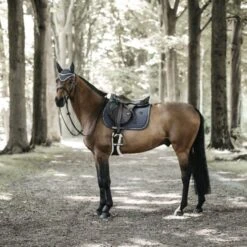 Kentucky Horsewear Kentucky Springsatteldecke Pearls Navy Warmblut 30 Kentucky Horsewear Kentucky Springsatteldecke Pearls Navy Warmblut -Geschäft für Reitsportbedarf kentucky spring zadeldekje pearls grey 2.fa55b3